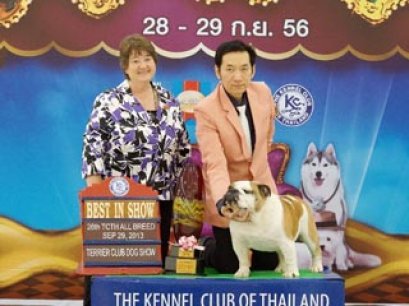 Terrier Club Dog show 2013(AB3)