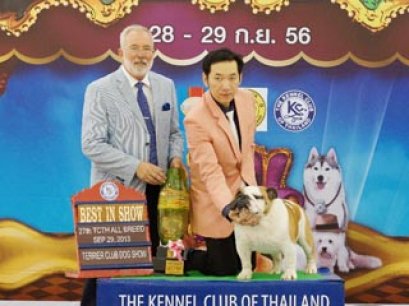 Terrier Club Dog show 2013(AB4)