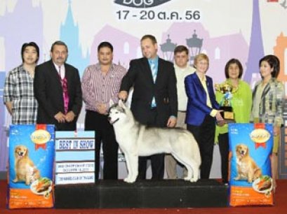 2013 The Mall Grand Dog Show(AB2)