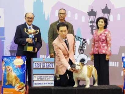 2013 The Mall Grand Dog Show(AB4)