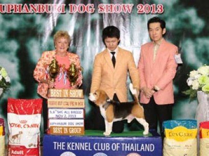 Suphanburi Dog Show 2013(AB1)