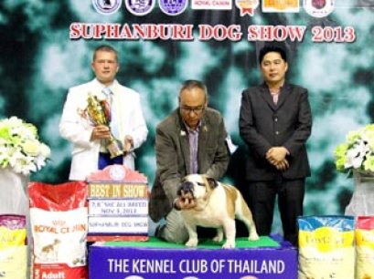 Suphanburi Dog Show 2013(AB3)