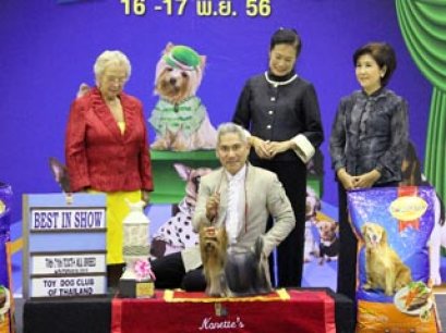 The Mall Toy Dog Championship Dog Show 7/2013(AB2)