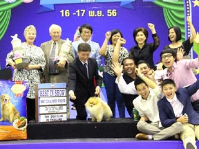 The Mall Toy Dog Championship Dog Show 7/2013(AB3)