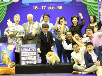 The Mall Toy Dog Championship Dog Show 7/2013(AB4)