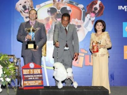 INT.CH.JKC.CH.POP TRICK JP GREAT VICTORY