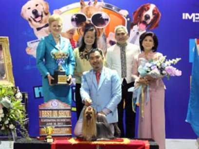 MULTI GRAND CHAMPIONS NANETTE'S OCTOBER SAND DUNE