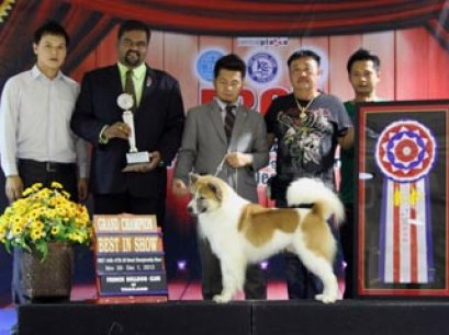 FBCT Championship Show 3/2013(AB1)