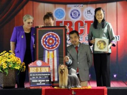 FBCT Championship Show 3/2013(AB2)