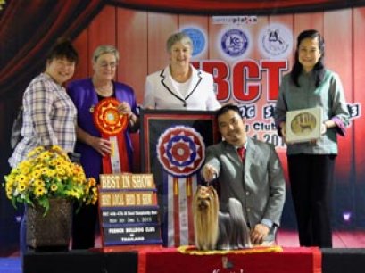 FBCT Championship Show 3/2013(AB4)