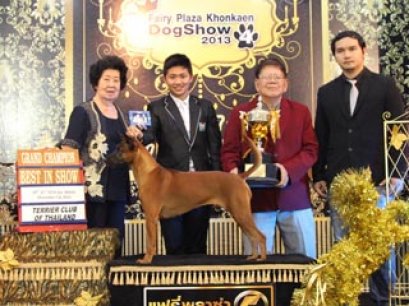KHONKAEN_CLASSIC_DOG_SHOW_2013(AB2)