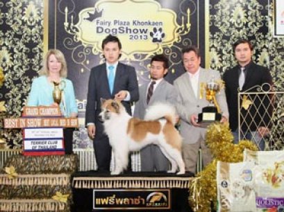 KHONKAEN_CLASSIC_DOG_SHOW_2013(AB3)