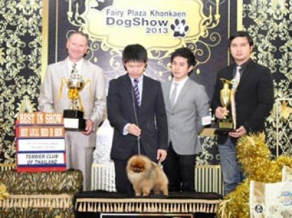 KHONKAEN_CLASSIC_DOG_SHOW_2013(AB4)