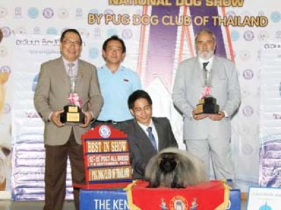 Multi.BIS.BISS.Thai Grand.Eng.Ch.Livanda Faberge