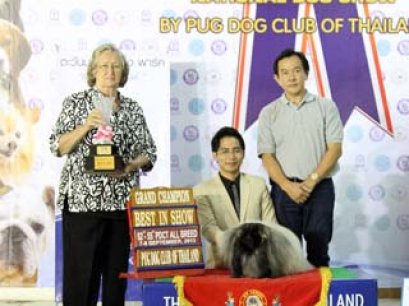 Multi.BIS.BISS.Thai Grand.Eng.Ch.Livanda Faberge