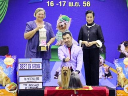 MULTI GRAND CHAMPIONS NANETTE'S OCTOBER SAND DUNE