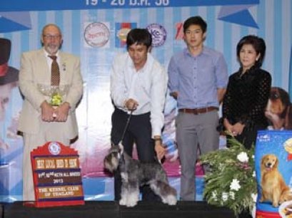 PLASMA-MS'S PERFECTA ALONZO HEIDI