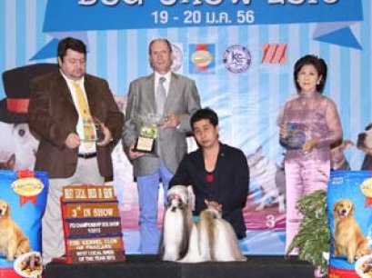 TH.CH.CENTURY'S MY GOLDEN DREAM