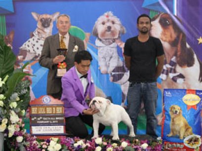 TH.CH.FELLOW'S IRON RANGER