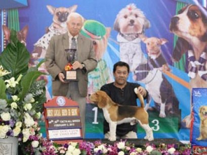 TH.CH.X'PLORERS DESTINY PLAY TRIX