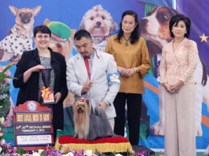 TH.GRAND.MAL.GRAND IND.CH.NANETTE'S OCTOBER SAND DUNE