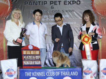 TH.CH.STARLIGHT'S SHINING STAR FOR LA GRANDIS