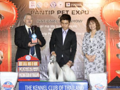 TH.CH.HEARTY'S SHINNING STAR