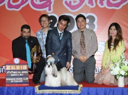 TH.CH.CREATIVE'S SO HOT WONDER RIDE