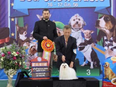 TH.CH.NANETTE'S NORTH SEA