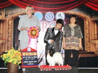 TH.CH.EXPANA'S SEA DRAGON CONQUEROR