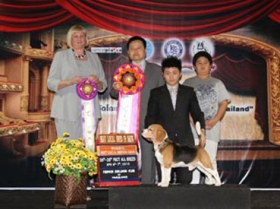 GRAND.INT.TH.CH.CAESAR'S SUPER DANCE