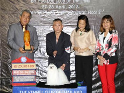 TH.CH.NANETTE'S NORTH SEA