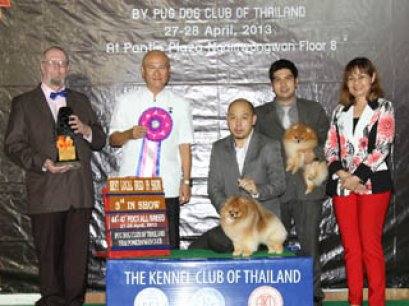 TH.CH.KWANGTHONG'S HISO