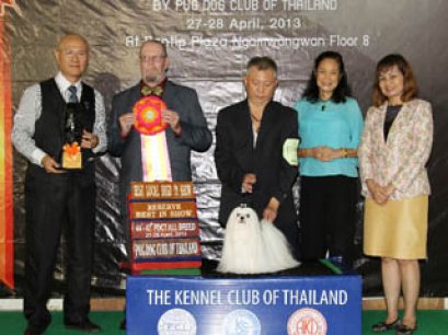 TH.CH.NANETTE'S NORTH SEA