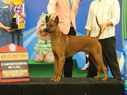 TH.CH.SIAM GRAND PETCH-AMPOL BY D-D-P