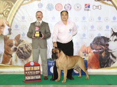 TAWANNA NGAMWONGWAN NATIONAL DOG SHOW 2014(AB1)