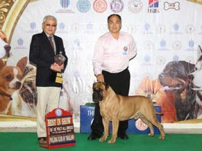 TAWANNA NGAMWONGWAN NATIONAL DOG SHOW 2014(AB2)