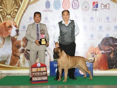 TAWANNA NGAMWONGWAN NATIONAL DOG SHOW 2014(AB4)