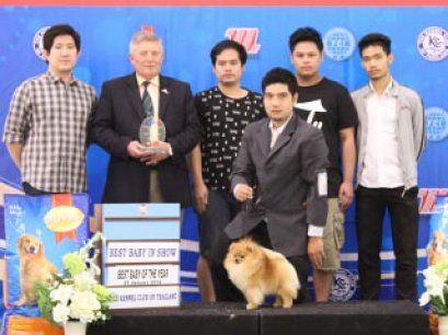 Best Baby Of The Year 2013