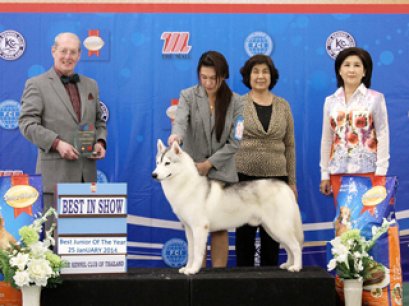 Best Junior Of The Year 2013