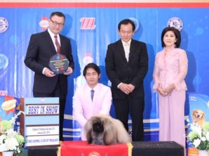 Best Champions of The Year 2013