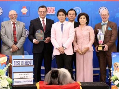 Best Dog Of The Year 2013