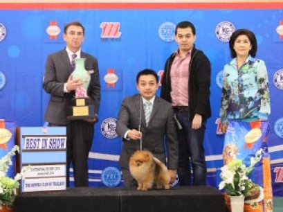 SmartHeart Champion Of Champions Dog Show 2014(AB1)