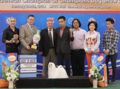 SmartHeart Champion Of Champions Dog Show 2014(AB2)