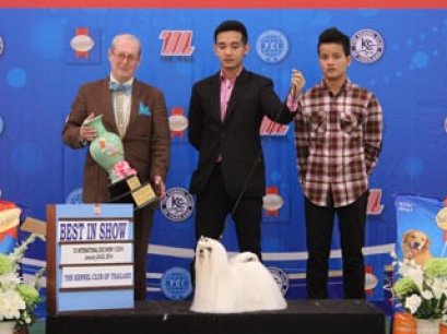 SmartHeart Champion Of Champions Dog Show 2014(AB3)