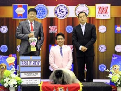 The Mall Toy Dog Championship Dog Show 1/2014(AB1)