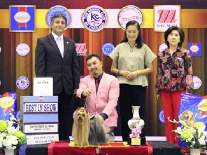 The Mall Toy Dog Championship Dog Show 1/2014(AB2)