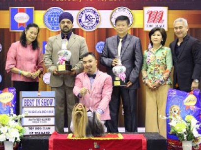 The Mall Toy Dog Championship Dog Show 1/2014(AB3)