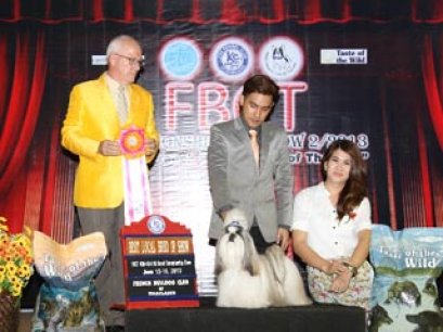 TH.CH.CREATIVE'S SO HOT WONDER RIDE