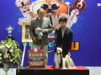 TH.GRAND CH.CENTURY'S MY GOLDEN DREAM